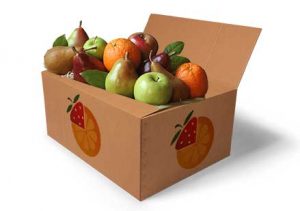 packaging-box_OFD_w_fruit